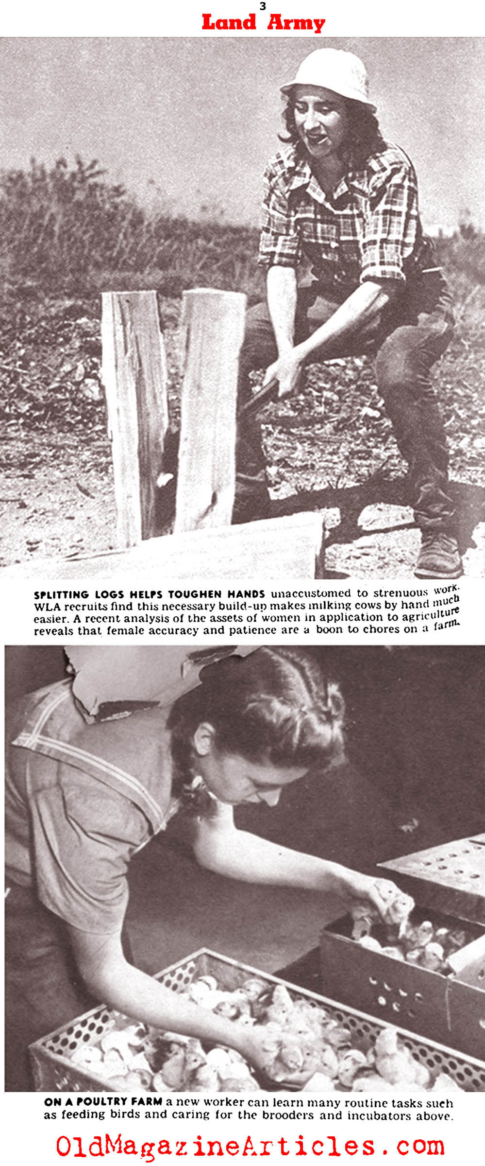 Women Worked The Farms (Click Magazine, 1943)